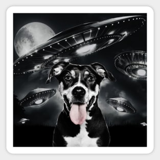 Selfie of Funny Dog And Aliens UFO  3 Sticker